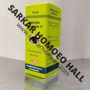 CINERARIA MARITIMA Q